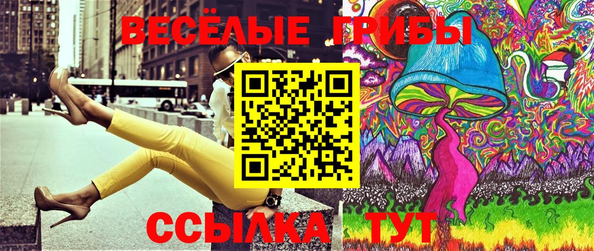 Псилоцибиновые грибы Psilocybine cubensis Славгород
