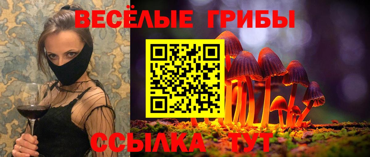 Меф  Славгород  Экстази  COCAIN  A PVP СОЛЬ кристаллы  МЕФ   Вход с VPN  ГАШИШ  Канабис 