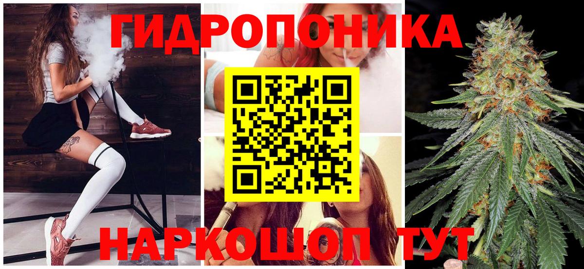 Конопля LSD WEED  Вход с VPN  Славгород  Шишки марихуана Bruce Banner  Бошки марихуана семена  Бошки марихуана марихуана 